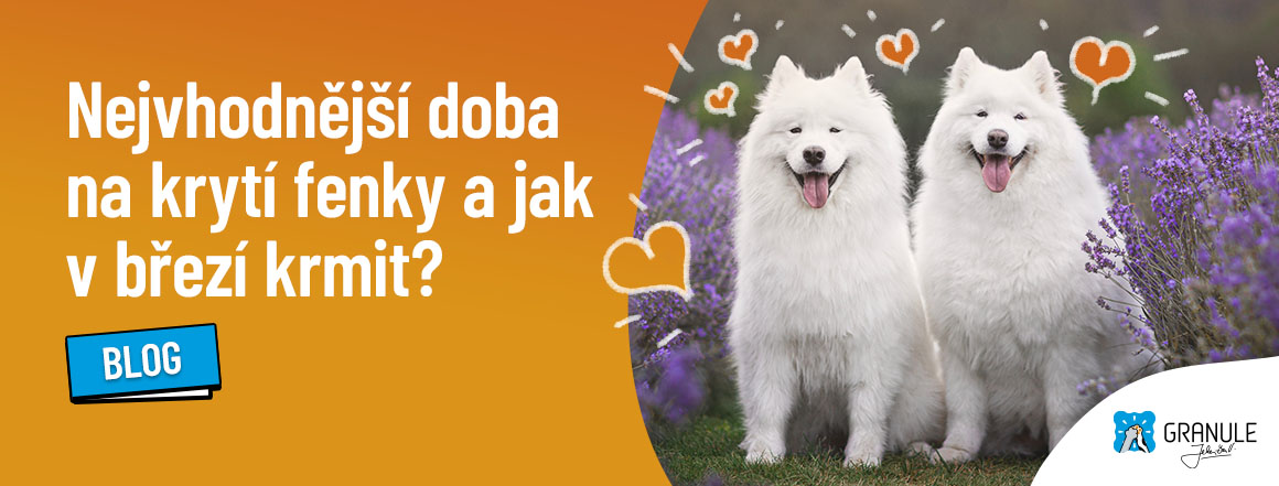 web_1160x441_blog_2023_kryti fenky